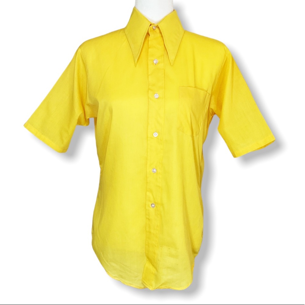 Vintage 1970’s Dagger Collar Button Up Top